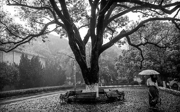 2017形象中国?百家媒体聚焦绿色衢州优秀摄影作品选登