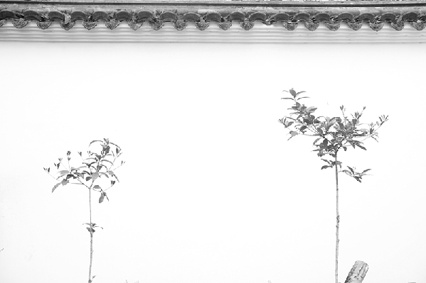 2017形象中国?百家媒体聚焦绿色衢州优秀摄影作品选登