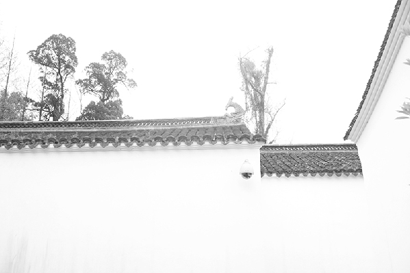 2017形象中国?百家媒体聚焦绿色衢州优秀摄影作品选登