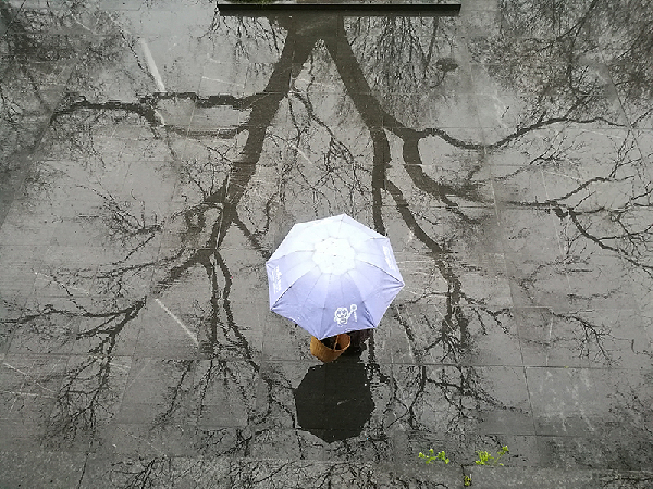 2017形象中国?百家媒体聚焦绿色衢州优秀摄影作品选登