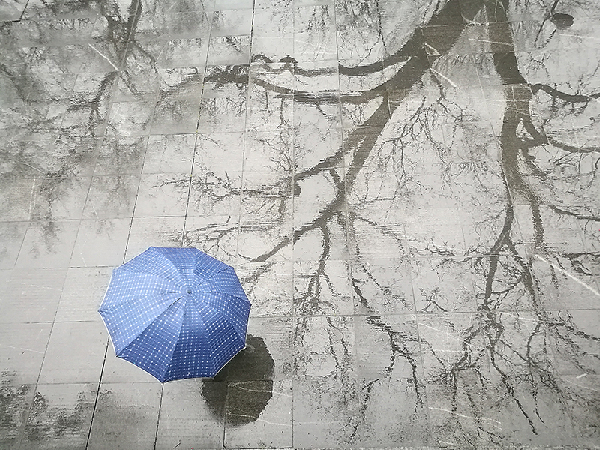 2017形象中国?百家媒体聚焦绿色衢州优秀摄影作品选登