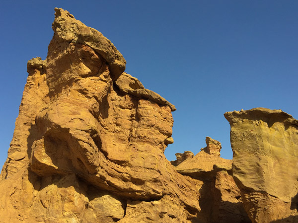 致敬！塔里木！