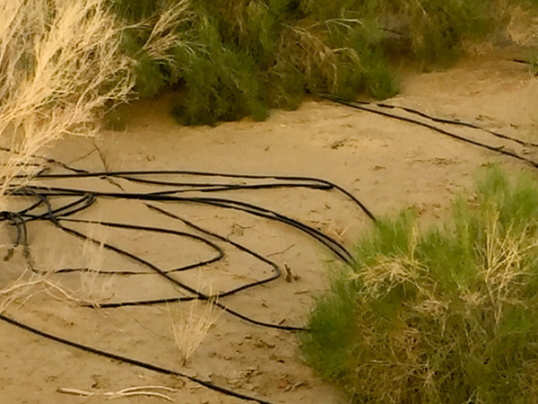 致敬！塔里木！