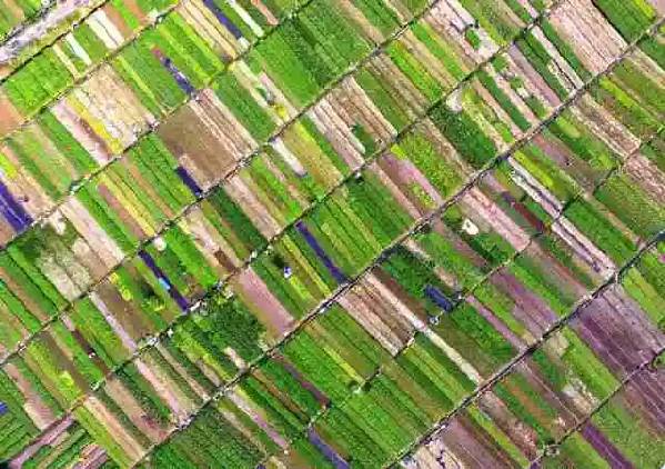 天空茶座(第2期)】对话“机长”黄孝邦