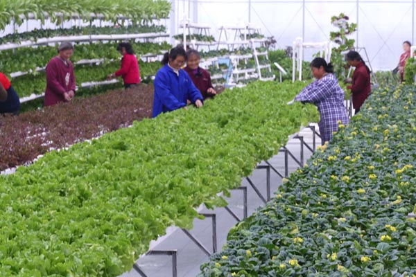 探梅关古道 看人间沧桑