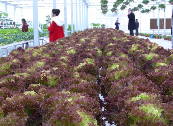 探梅关古道 看人间沧桑