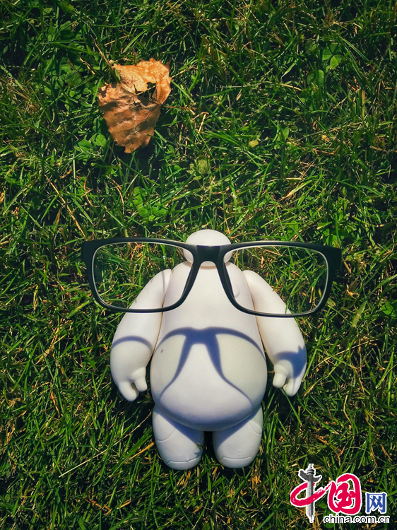 大白的美国游历记[上篇]