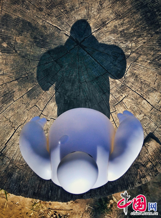 大白的美国游历记[上篇]