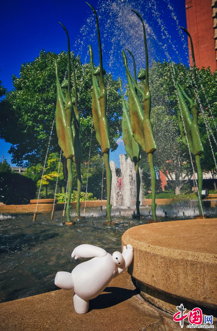 大白的美国游历记[上篇]