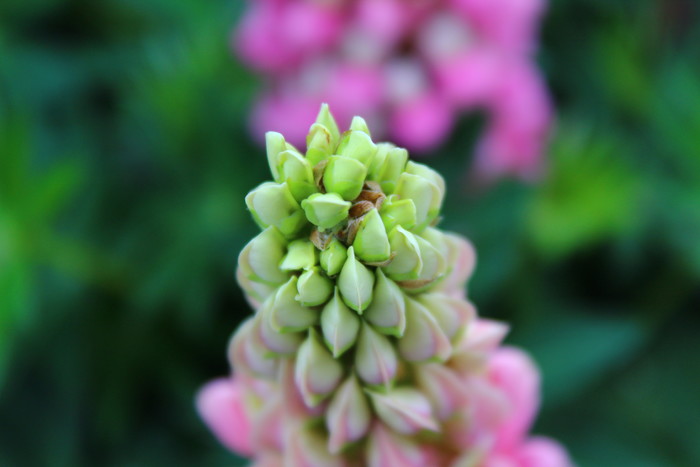 家用入门单反 佳能EOS 1500D、3000D评测