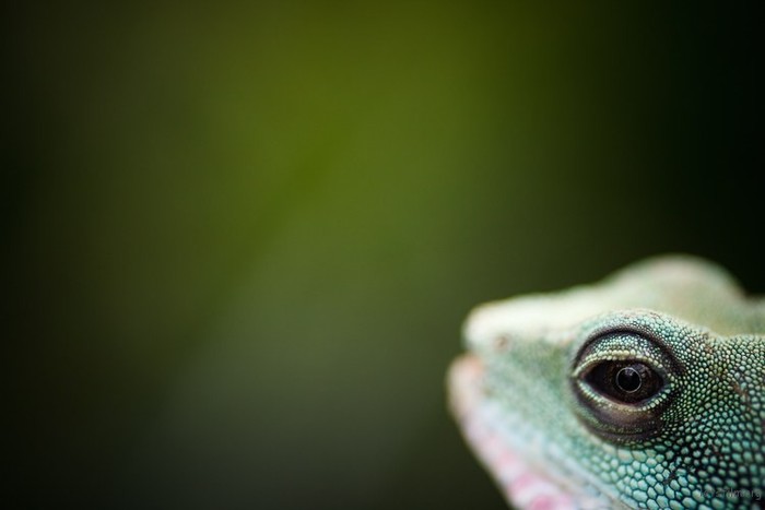 什么才是你最需要的镜头 看看这7点就知道了 什么才是你最需要的镜头 看看这7点就知道了