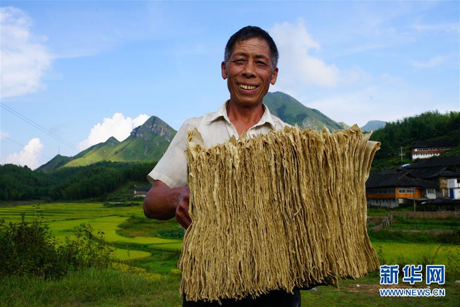 #（社会）（5）瑶寨里的古法造纸技艺