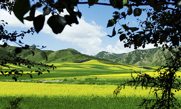 “中华之美”甘肃金张掖影像巡展在北京开幕 “中华之美”甘肃金张掖影像巡展在北京开幕