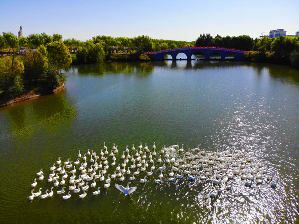 “中华之美”甘肃金张掖影像巡展在北京开幕 “中华之美”甘肃金张掖影像巡展在北京开幕