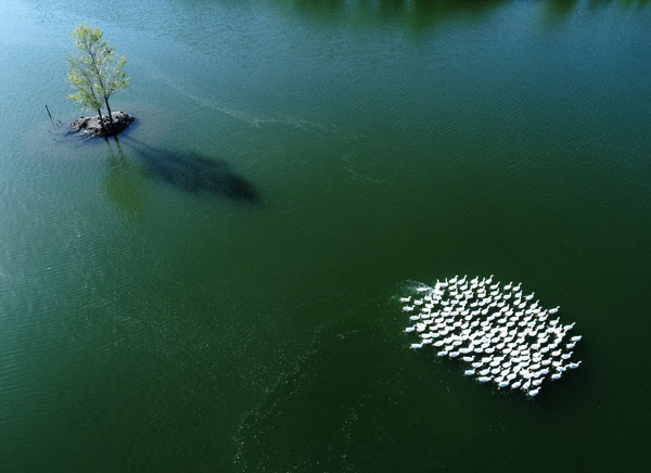“中华之美”甘肃金张掖影像巡展在北京开幕 “中华之美”甘肃金张掖影像巡展在北京开幕
