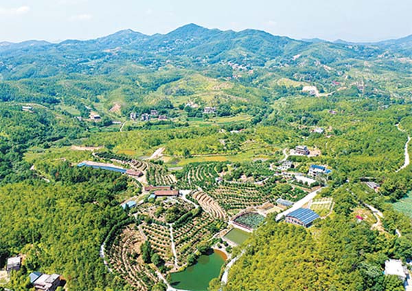 红土地上炼“四力” 长征起点悟初心