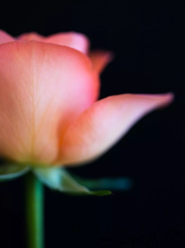 一分钱十分货！4种低成本微距特效制作方案