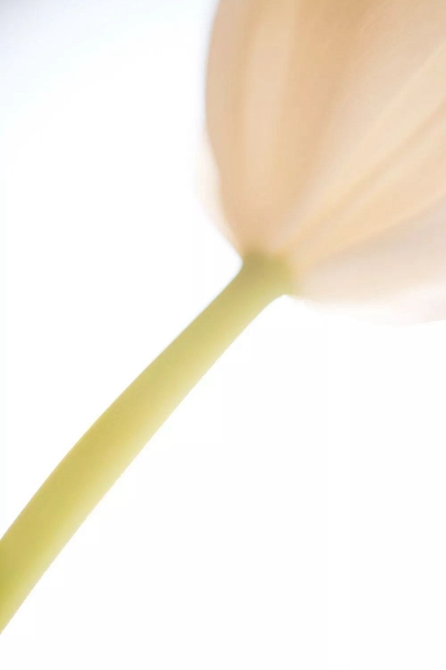 一分钱十分货！4种低成本微距特效制作方案