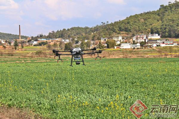 保山昌宁:植保无人机助力小春田间管理