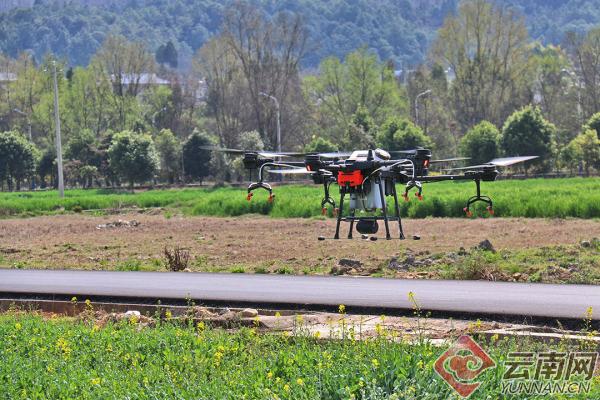 保山昌宁:植保无人机助力小春田间管理