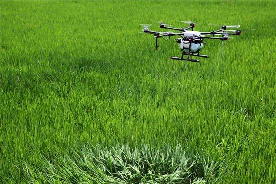 外媒:疫情正快速改变中国农业 无人机迎需求增长