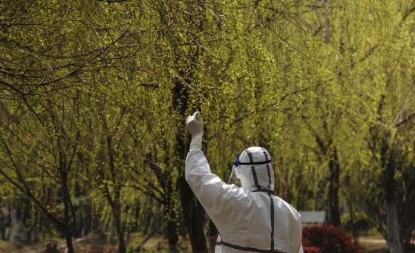 白衣战士，你的名字写满了这个春天！