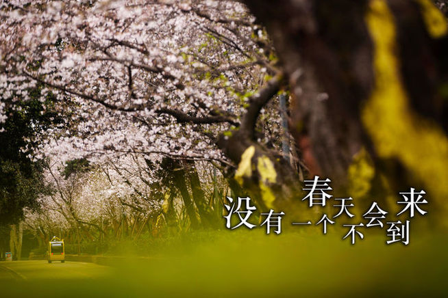 白衣战士，你的名字写满了这个春天！