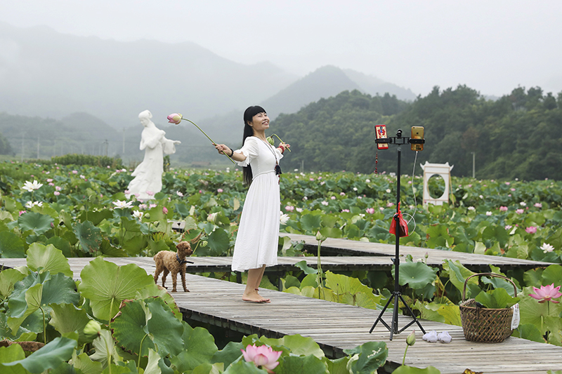 2020年，村播元年