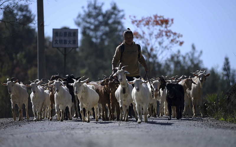 再见，索道 你好，公路