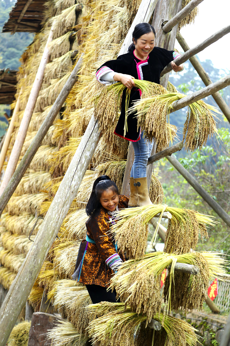 56个民族一起奔小康