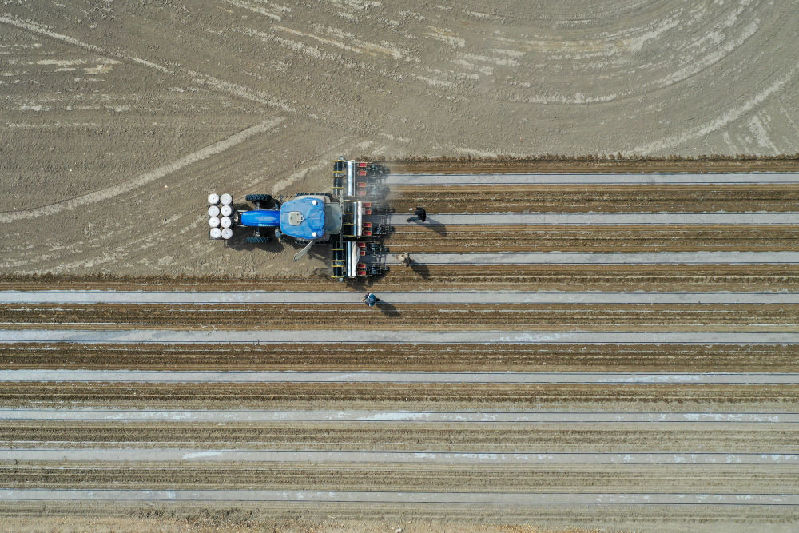 从“坎土曼”到“无人机”——田间地头看新疆高质量发展
