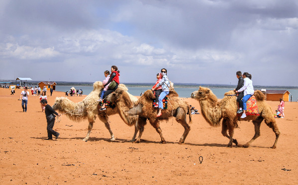 金镜头征稿｜“神奇神木”杯人民摄影“ 金镜头”（2021 年度）新闻摄影作品评选启动