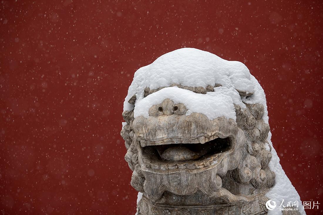 2月13日，景山公园，被白雪覆盖的石狮，憨态可掬。人民网翁奇羽摄