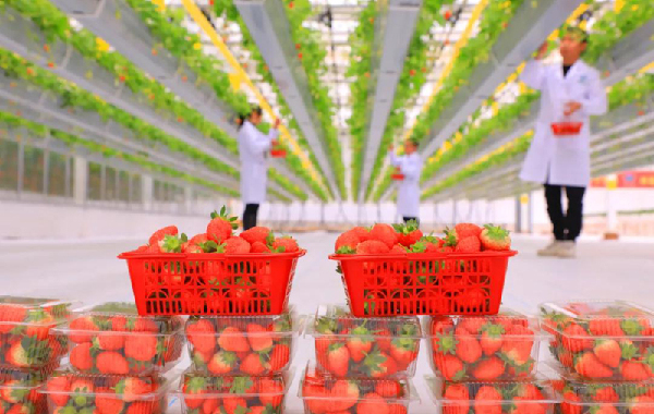 “中国银行杯”全国经济新闻摄影作品征集开始啦！