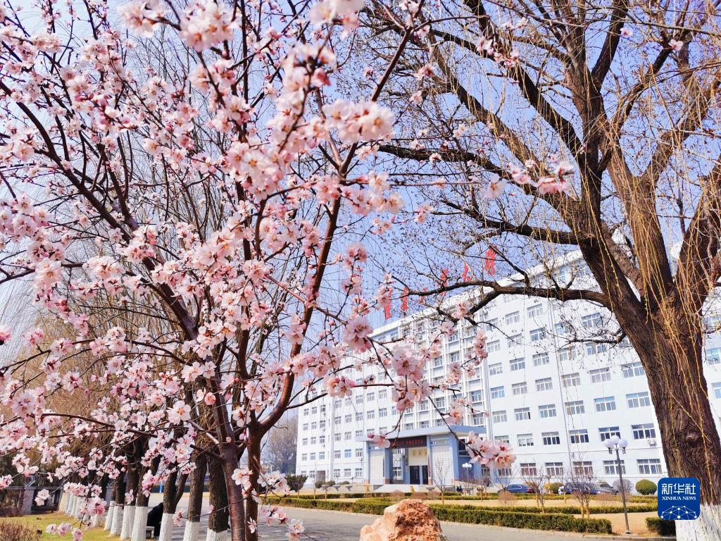 疫情下，让我们 “云”赏校园春光