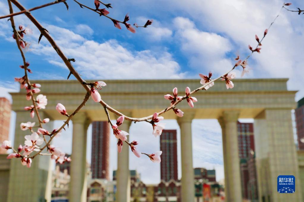 疫情下，让我们 “云”赏校园春光