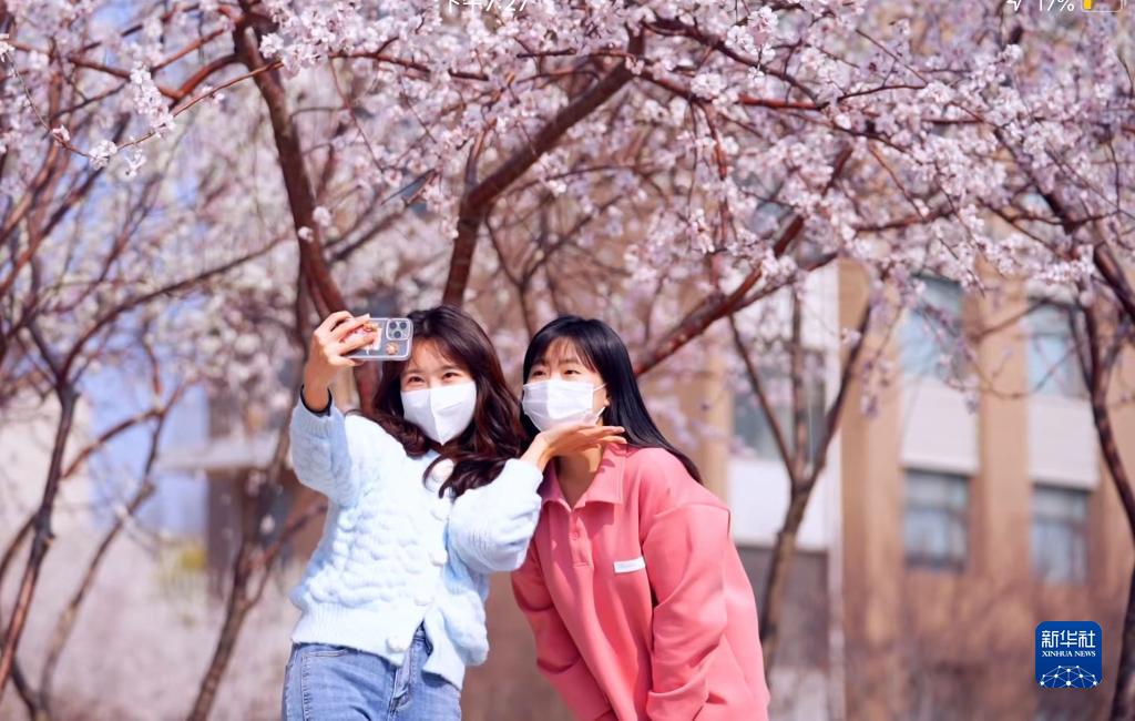 疫情下，让我们 “云”赏校园春光