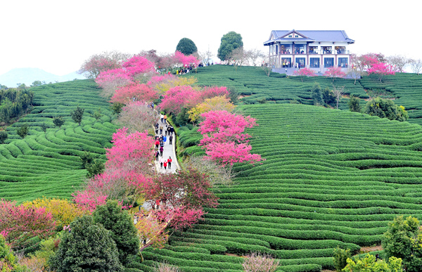 2022年旺旺杯“春节七天乐”新闻摄影征集活动定评会举行 2022年旺旺杯“春节七天乐”新闻摄影征集活动定评会举行