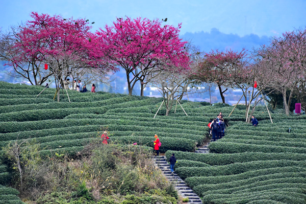 2022年旺旺杯“春节七天乐”新闻摄影征集活动定评会举行 2022年旺旺杯“春节七天乐”新闻摄影征集活动定评会举行
