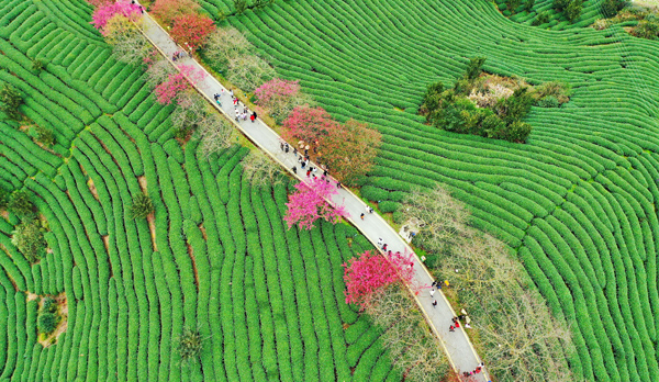 2022年旺旺杯“春节七天乐”新闻摄影征集活动定评会举行 2022年旺旺杯“春节七天乐”新闻摄影征集活动定评会举行