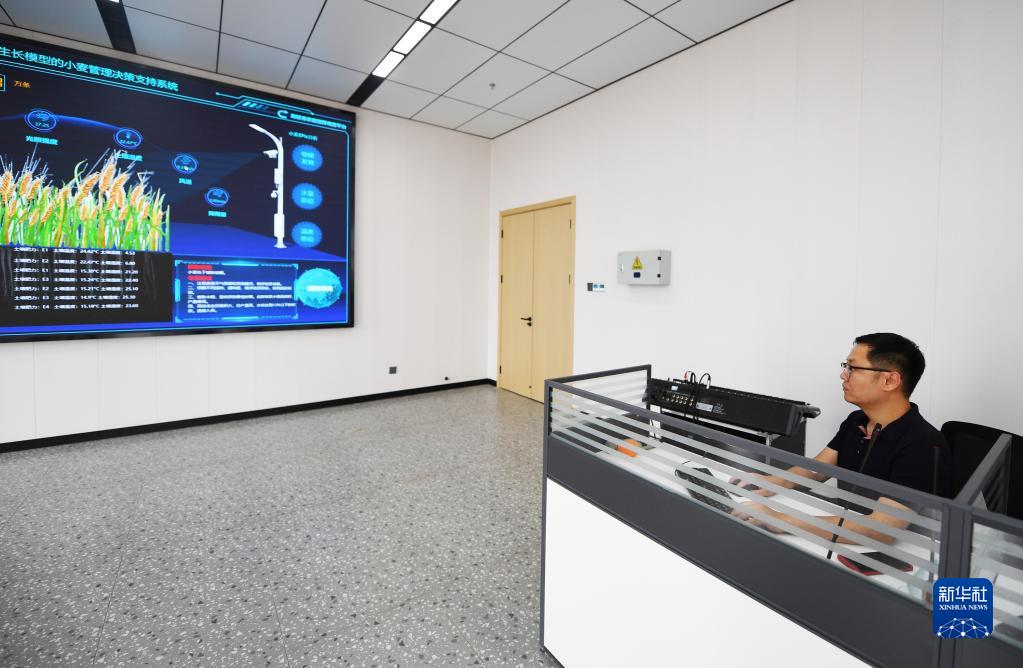 河南西平:“良田”金黄 丰收在望