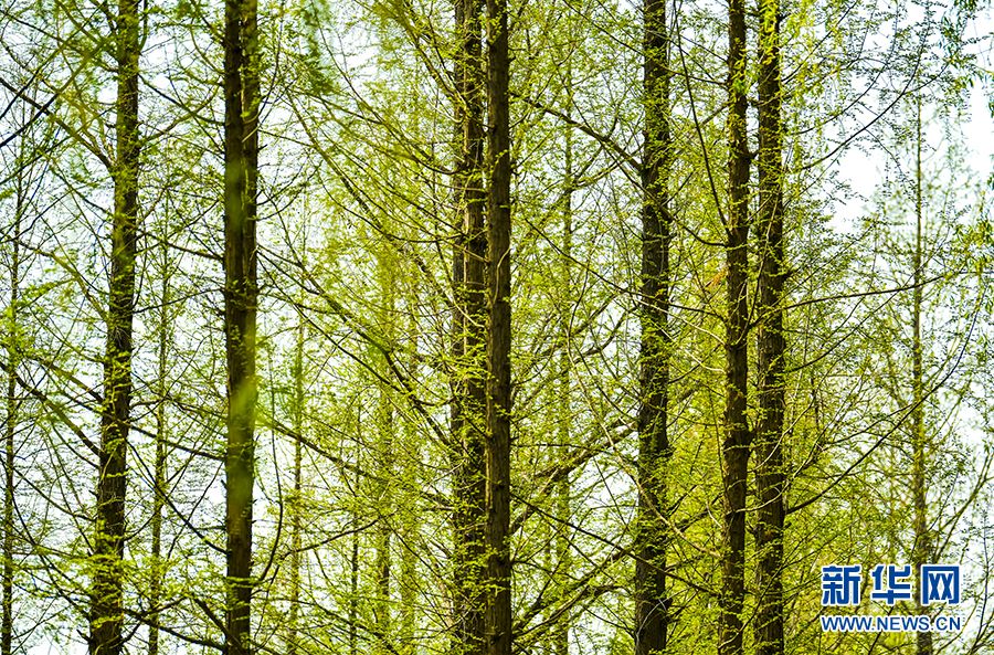 【光影轻课堂】如何运用线条增加摄影美感？