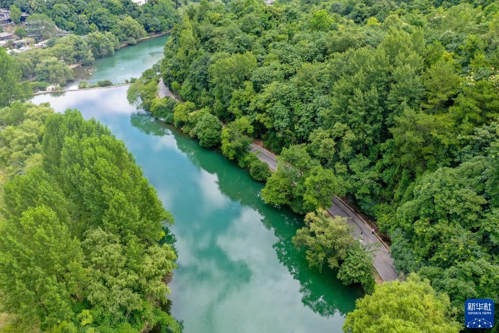 贵阳:夏日黄金大道景如画