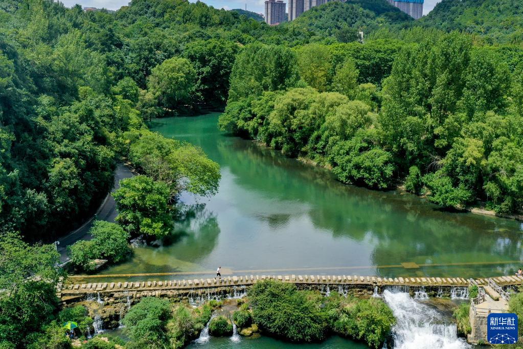 贵阳:夏日黄金大道景如画