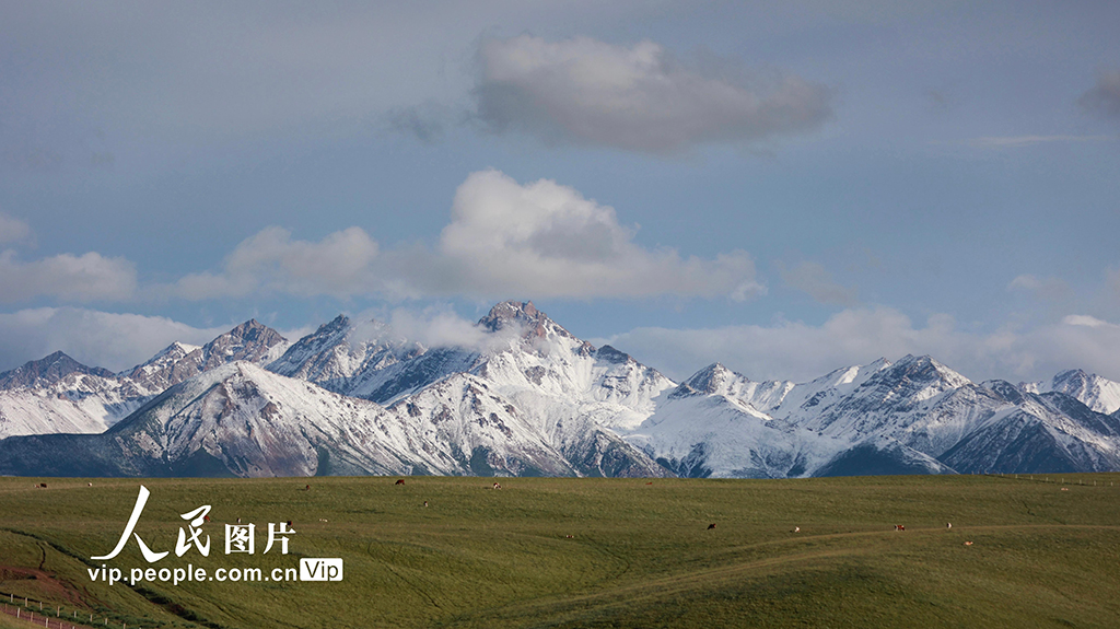甘肃山丹马场：雨后草原风光如画【2】