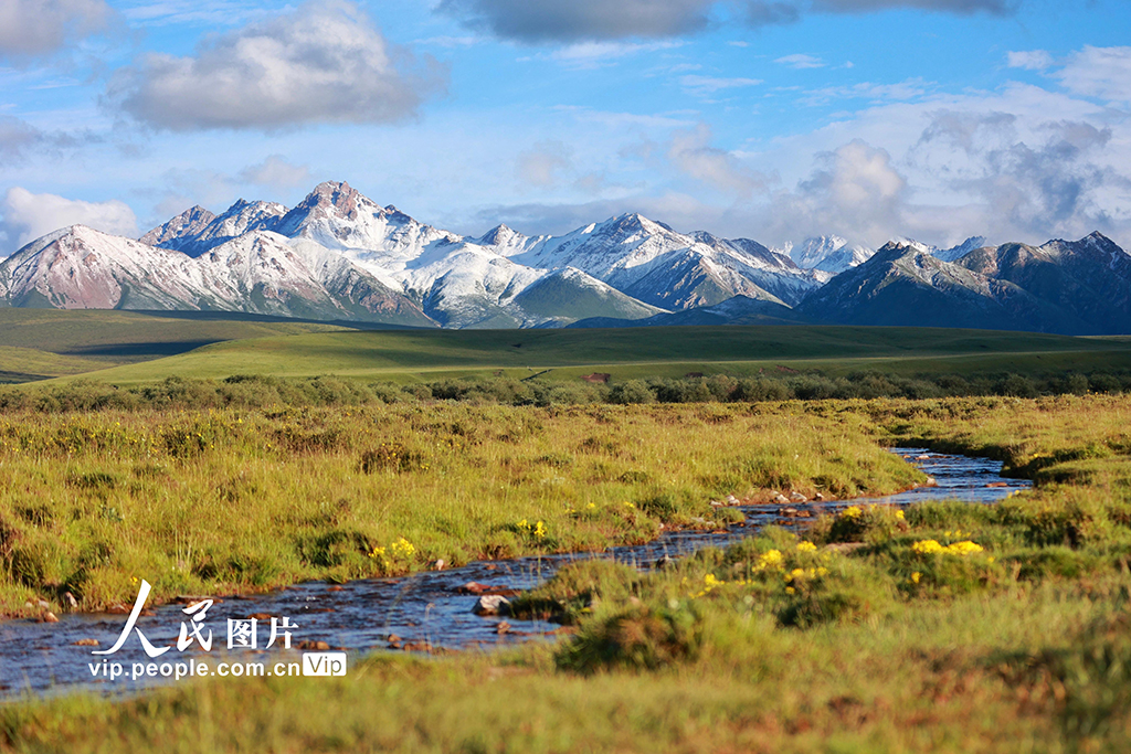 甘肃山丹马?。河旰蟛菰绻馊缁?】
