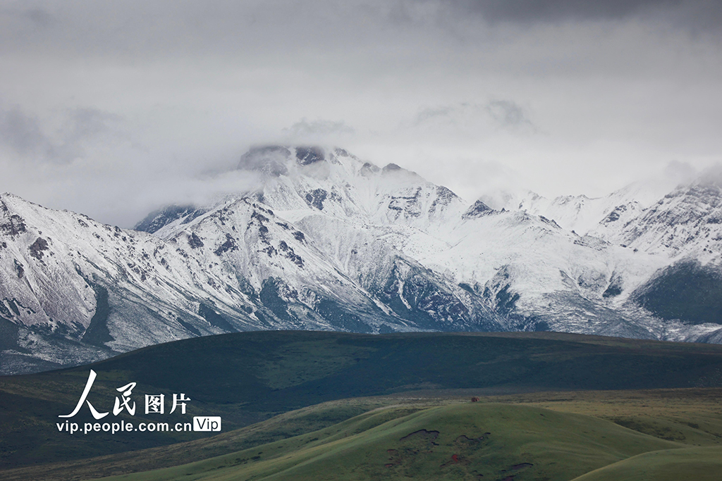 甘肃山丹马场：雨后草原风光如画【4】