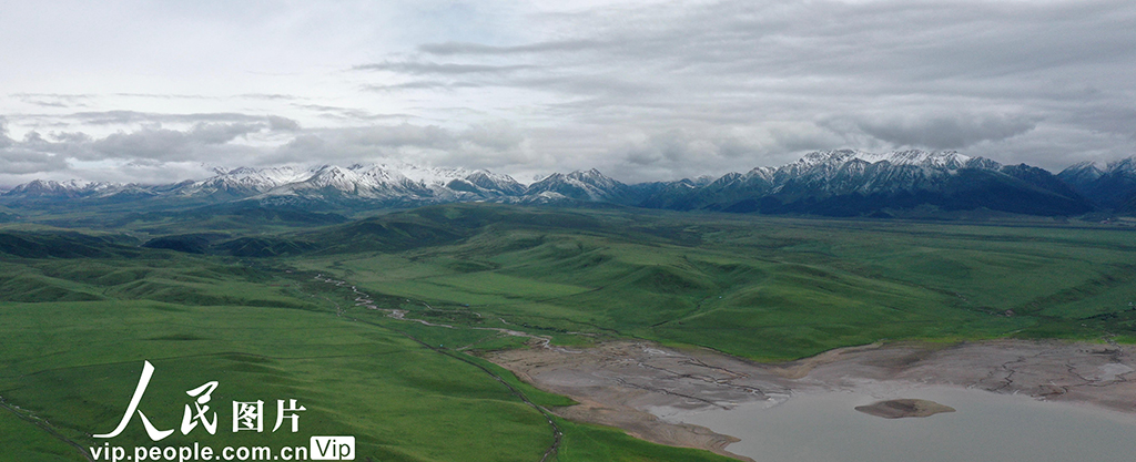 甘肃山丹马?。河旰蟛菰绻馊缁?】