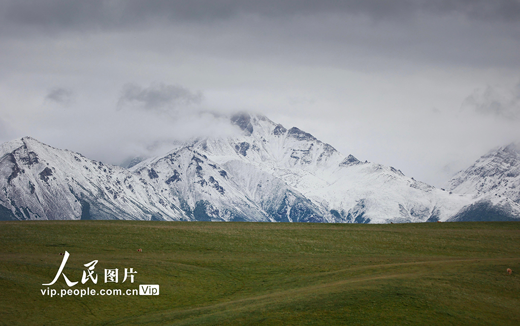 甘肃山丹马场：雨后草原风光如画【8】