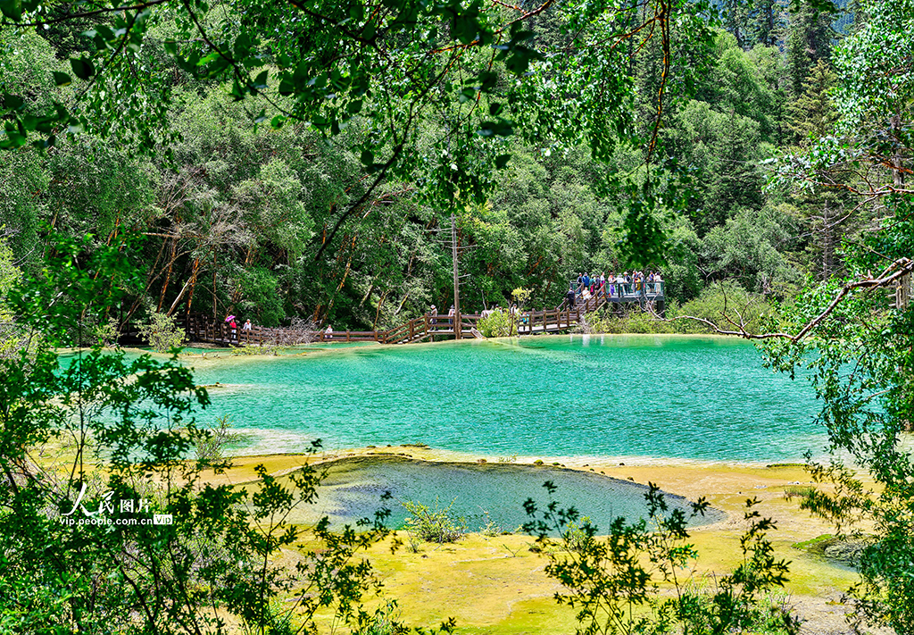 四川九寨沟：全域旅游发展形成新格局【4】